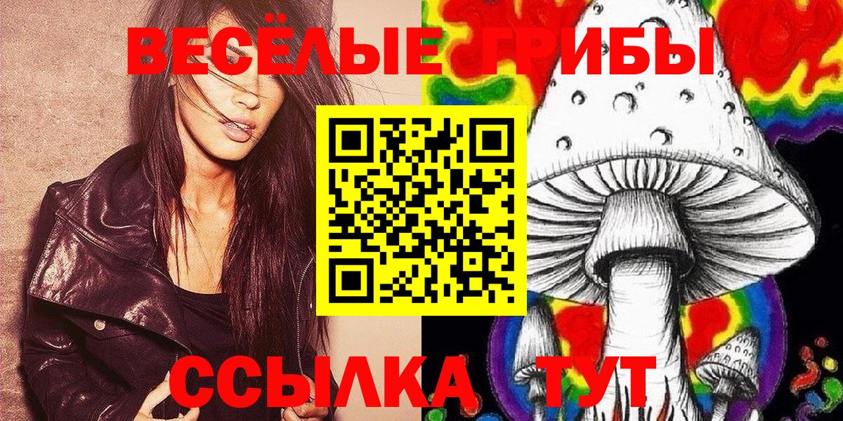 Псилоцибиновые грибы Psilocybe Магадан