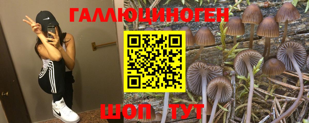 Магадан  Псилоцибиновые грибы Magic Shrooms  купить   Вход с VPN 